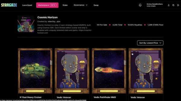 Cosmic Horizon. Чем занимается проект