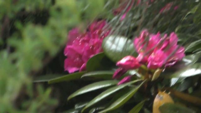 После дождя... / After rain смотреть онлайн