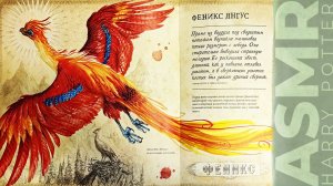 АСМР чтение шепотом Гарри Поттер, ASMR whisper Harry Potter, 3