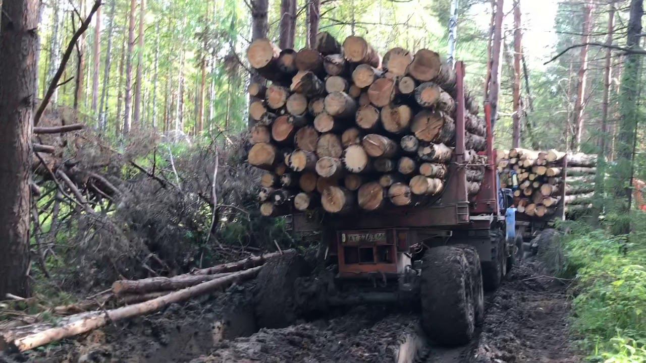 Лесовозные будни!!! Застряли маленько))) смотреть онлайн