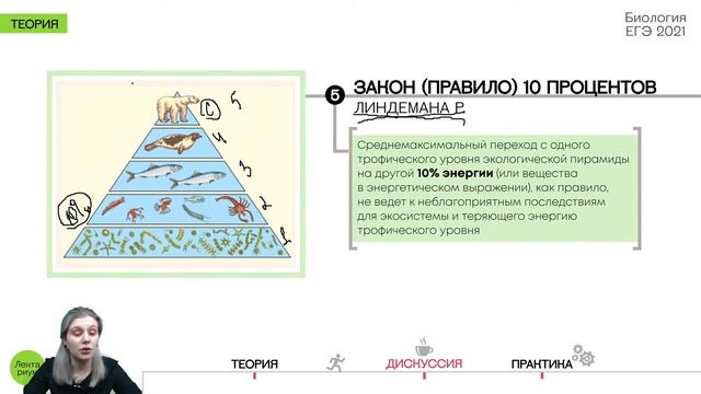 Биология ЕГЭ - Законы экологии смотреть онлайн