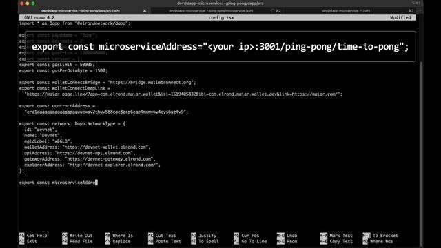 #3. Elrond Developers Guide: Build your first Microservice смотреть онлайн