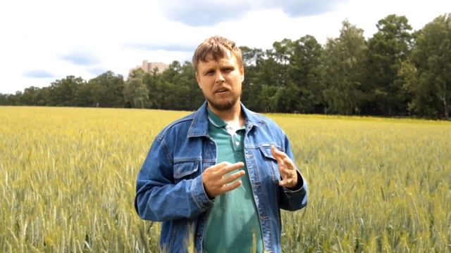 Микробиологическое удобрение Биовел Рост А, Б Biovel смотреть онлайн
