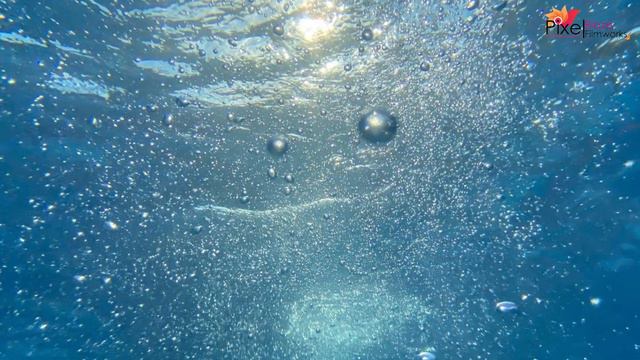 मासे श्वास कसा घेतात ? | Science Fact смотреть онлайн