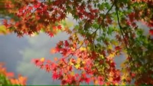 Игорь Тальков. Осенний дым.