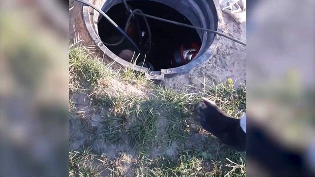 г Гомельский р н, д Романовичи смотреть онлайн