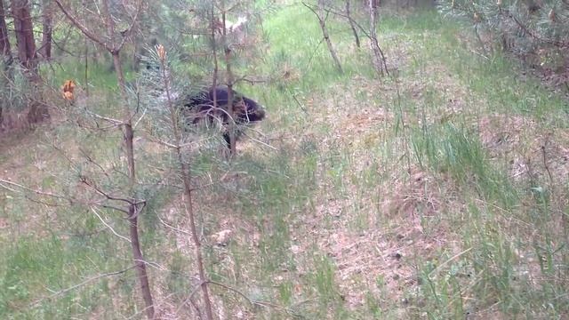 Почему шалайки супер обучаемы.https://vk.com/sha_layka смотреть онлайн