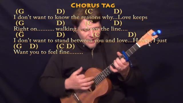 I Don't Want to Know (Fleetwood Mac) Bariuke Cover Lesson with Chords/Lyrics смотреть онлайн