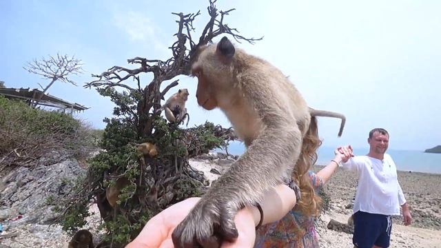 Тайланд ..замечательный отдых!! Замечательное видео!??? смотреть онлайн