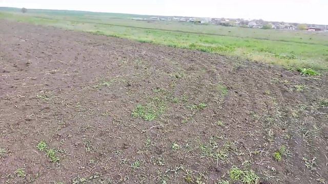 цветёт терен, и бурьян на огородах. смотреть онлайн