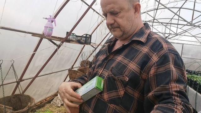 Одно из самых эффективных средств борьбы с вредителями в теплице экологичное и безопасное смотреть онлайн