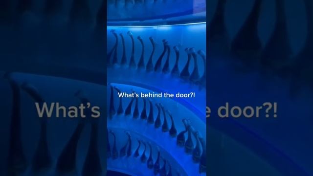 What’s behind the door⁉️ смотреть онлайн