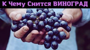 К чему снится ВИНОГРАД или видеть во сне ВИНОГРАД | Толкование снов | Сонник Sk1.online