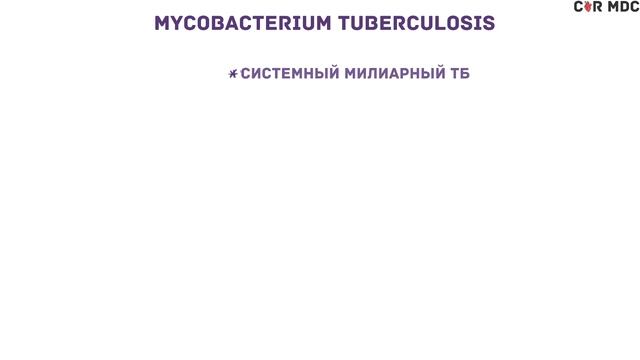 Туберкулез - микобактерия, симпмтомы, патофизиология, диагностика, лечение смотреть онлайн
