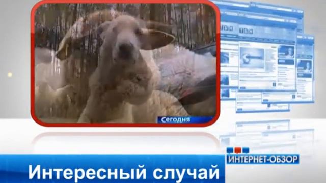 2011 12 16IO смотреть онлайн