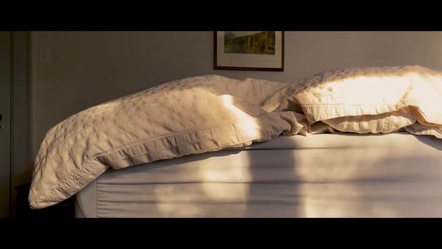 The Doll(draft2) смотреть онлайн