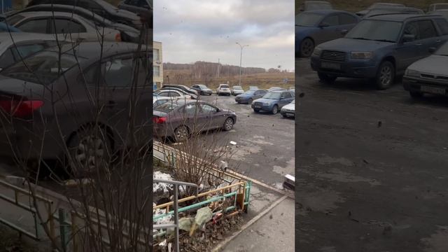Штормовой ветер г. Новокузнецк 19.11.2023 смотреть онлайн