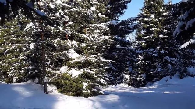Мария Видяпина "ЗИМА" смотреть онлайн