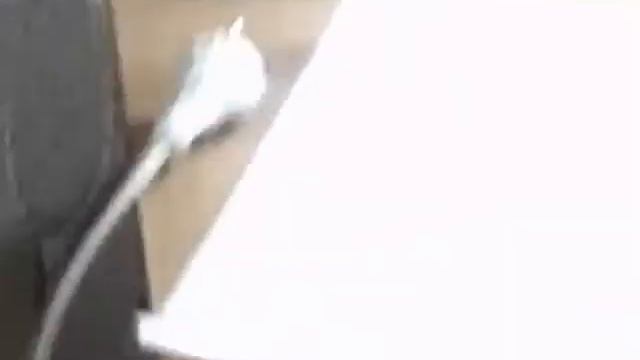 Как ухаживать за британскими котами и кошками смотреть онлайн