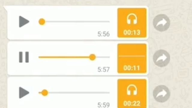 Важная информация 2024! Завтра гуляем?! ФСО и ФСБ