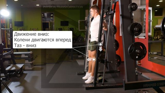 Приседания в смите с акцентом на квадрицепсы (Smith Machine Squat Quadriceps Focused) смотреть онлайн