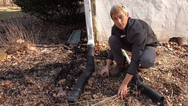 Butterfly Weed Asclepias spp. Spring Plant Preparation смотреть онлайн