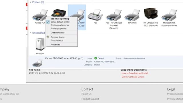 Canon Pro 1000 printer after initial setup. Software, Firmware, Head alignment etc. смотреть онлайн