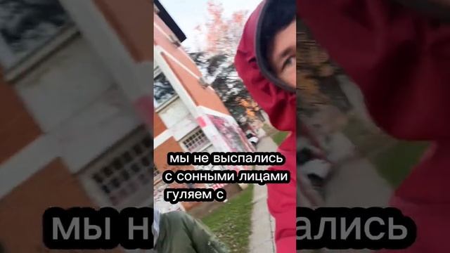 Как проводят выходные в Европе ? Как отмечают Рождество ? 2023 #рождество #песики смотреть онлайн