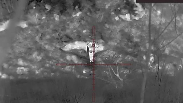 AGM VARMINT LRF TS50-640 смотреть онлайн