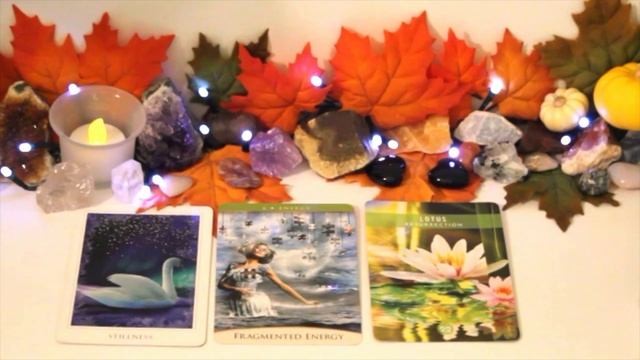 Leo~November 2023~Week-By-Week Look At The Month~Oracle смотреть онлайн