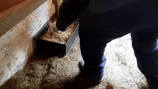 Задумки и Поделки / Чай в сарайке смотреть онлайн