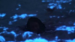 Ветер бродяга