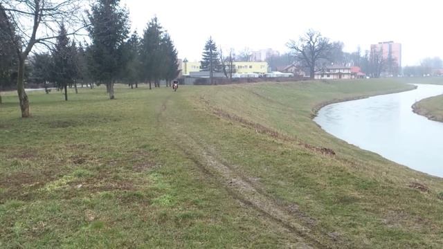 PitBike 125 Michalovce смотреть онлайн