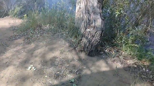 ВЛОГ. ПОЕЗДКА НА ПРИРОДУ.КРЫЛОВКА.РЕКА ОРЬ. КАТАЕМСЯ НА ЛОДКЕ. ДАЧА .СТРАННЫЕ ПОМИДОРЫ. смотреть онлайн