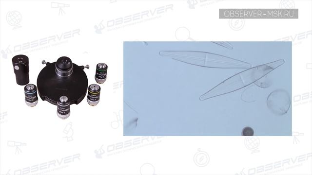 Фазово-контрастное устройство Микроскопа | Темное поле смотреть онлайн