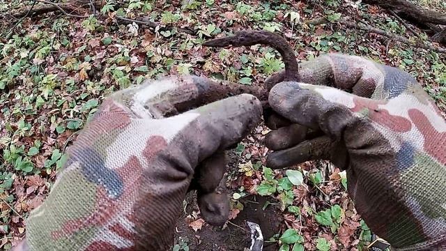 НАШЕЛ НЕПОНЯТНЫЕ ШТУКИ В ЛЕСУ. смотреть онлайн