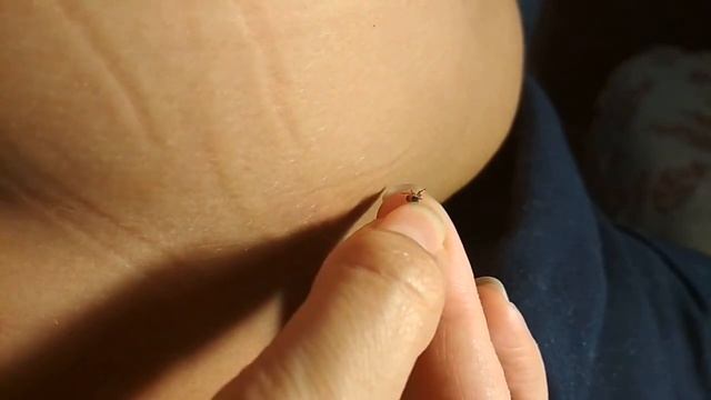 Секреты Успеха