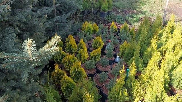 Вот так и живем... Он для меня... я для него ...и всем хорошо!!!! смотреть онлайн