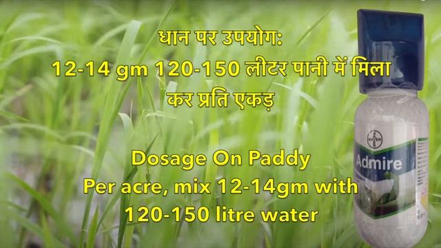 Bayer Admire | Insecticide | World of Agro | Imidacloprid 70.0% WG | Complete information смотреть онлайн