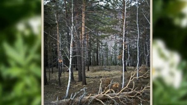 ? My Instagram portfolio - Слайд-шоу - ☸ Видеостудия Amargo