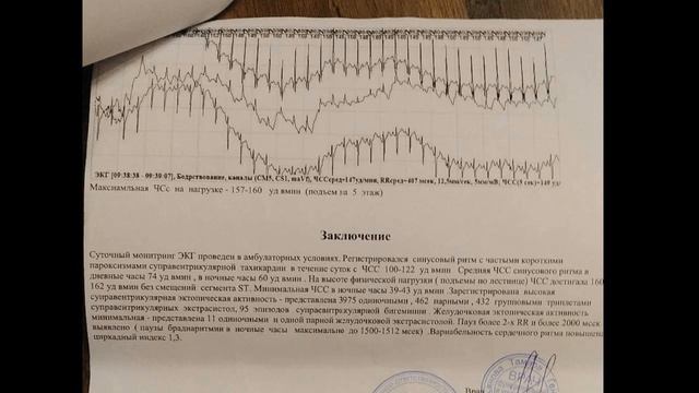 Запись 2021 07 06 12 08 48 676 смотреть онлайн
