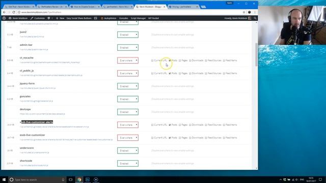 Perfmatters - An Essential WordPress Performance Plugin смотреть онлайн