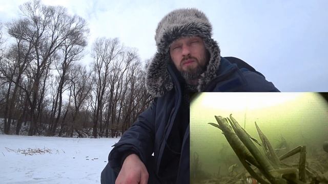 "Тульские мормышки", "Донище", река "Дон". (Стены рыбы под водой) смотреть онлайн