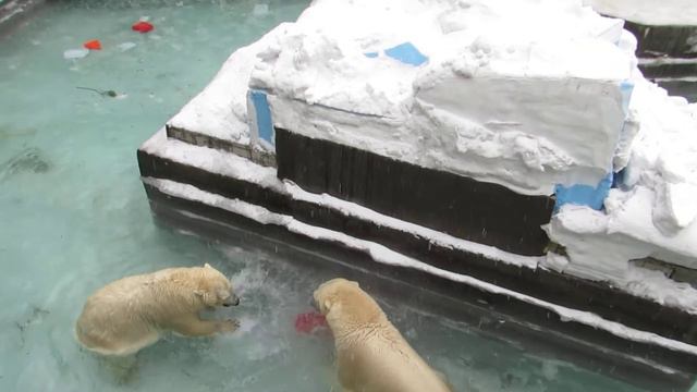Кай занят канистрой, а Герда достаёт шар, который примёрз 21.03.18 смотреть онлайн