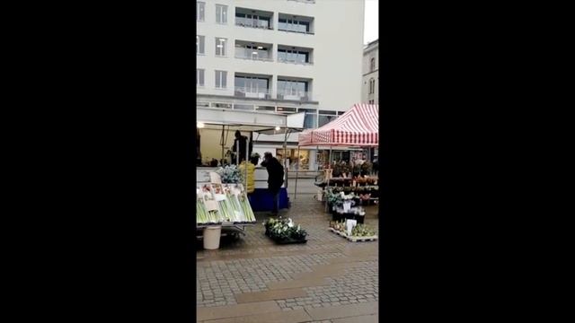 Как одеты шведы в декабре в Сконе Мальме смотреть онлайн