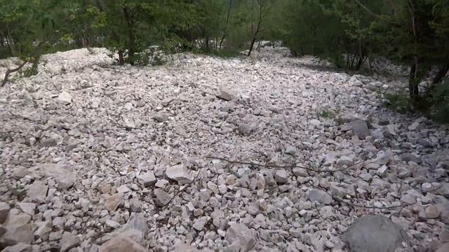 Petite vue aérienne du lac de Bohinj смотреть онлайн
