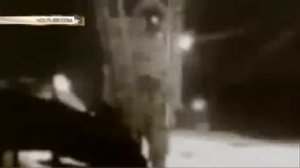 Высадка на Луну была подделана.  Это снимал я  - Стенли Кубрик