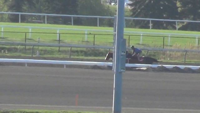 Cort'n Asong and Divine Intrigue (IS) смотреть онлайн