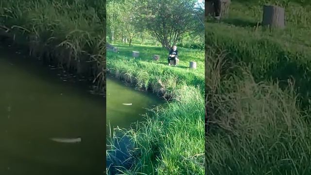 Баба Лида на рыбалке смотреть онлайн