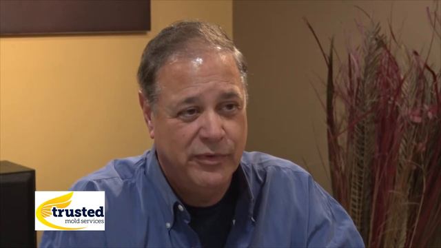 How Am I Exposed to Mold Spores? | Mold Removal | Mold Remediation | Mold Inspection смотреть онлайн